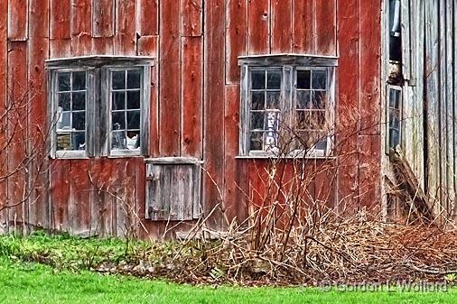 Old Barn Closeup_DSCF01580.jpg - Photographed near Smiths Falls, Ontario, Canada.
